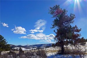 Cool Pic From Hall Ranch