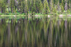 Ripples of Reflection