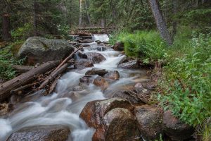 Chicago Creek Cascading through the Forest