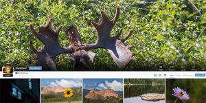 ViewBug