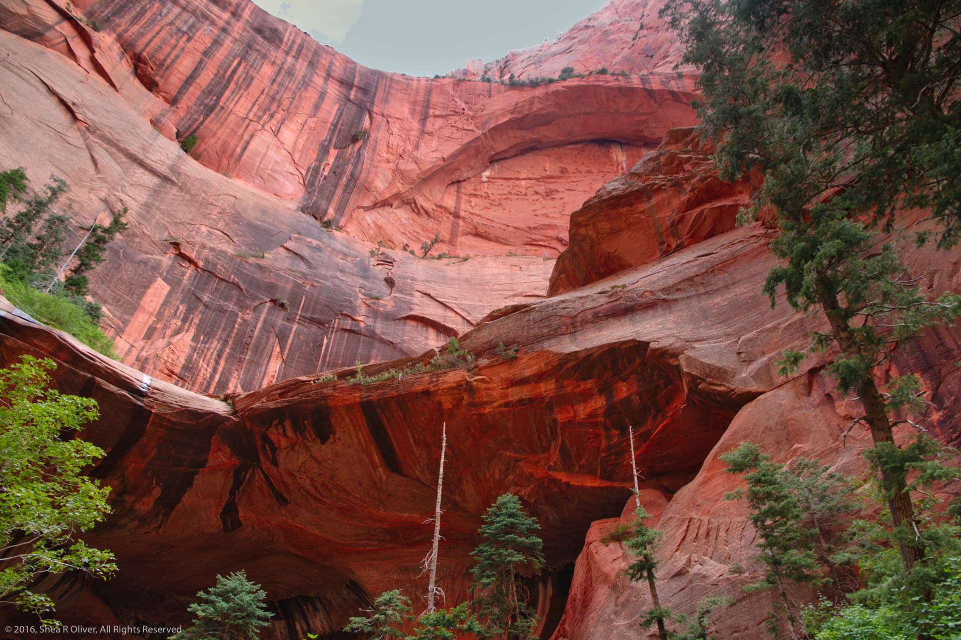 The Two Arches