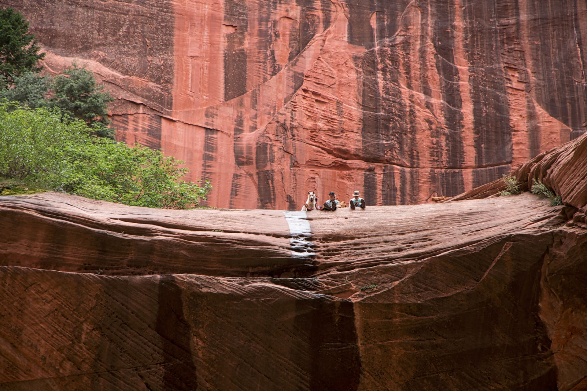Dipshits with Dogs in a National Park