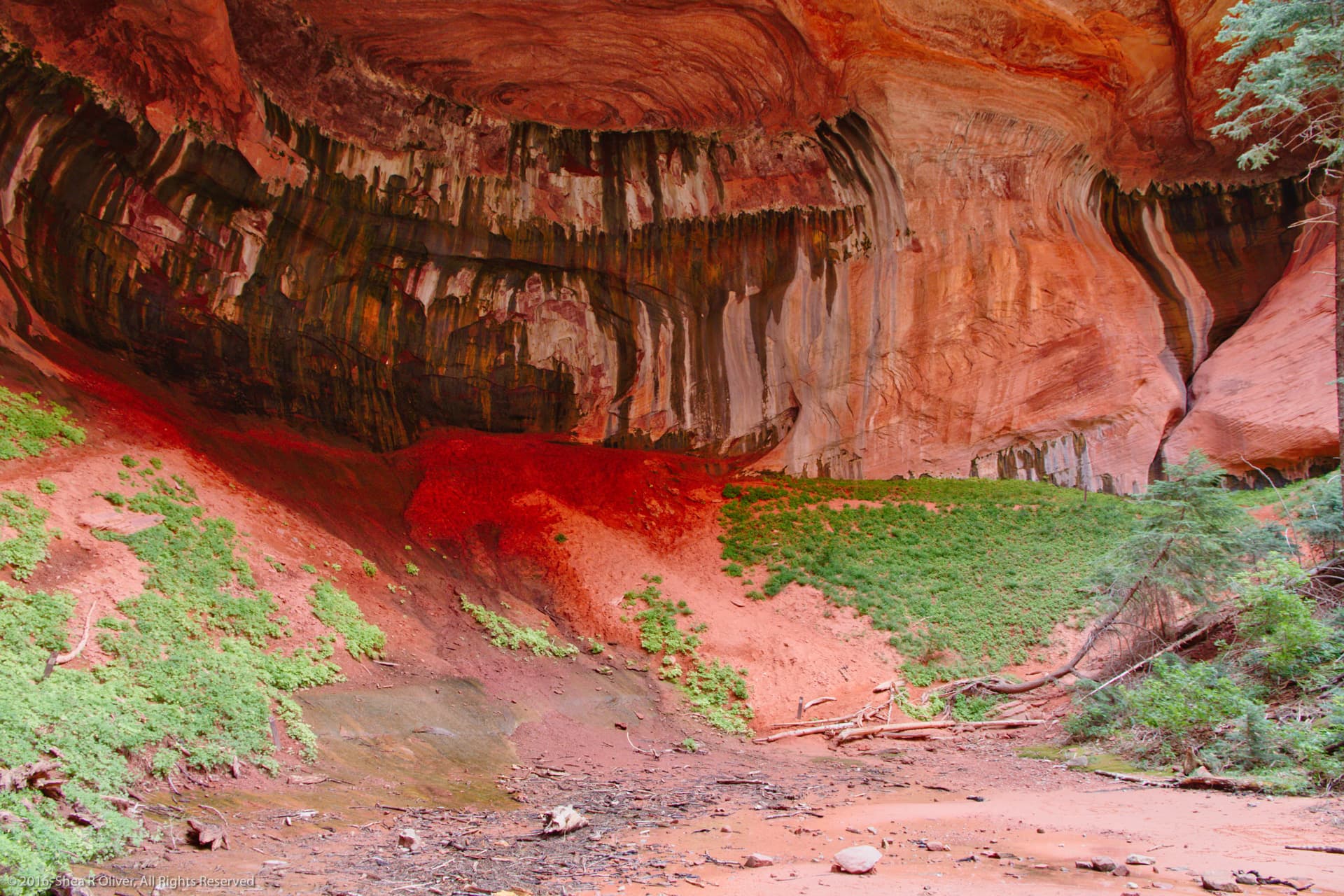 Zion National Park - Double Arch Alcove Lower Grotto