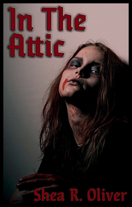 In The Attic Cover
