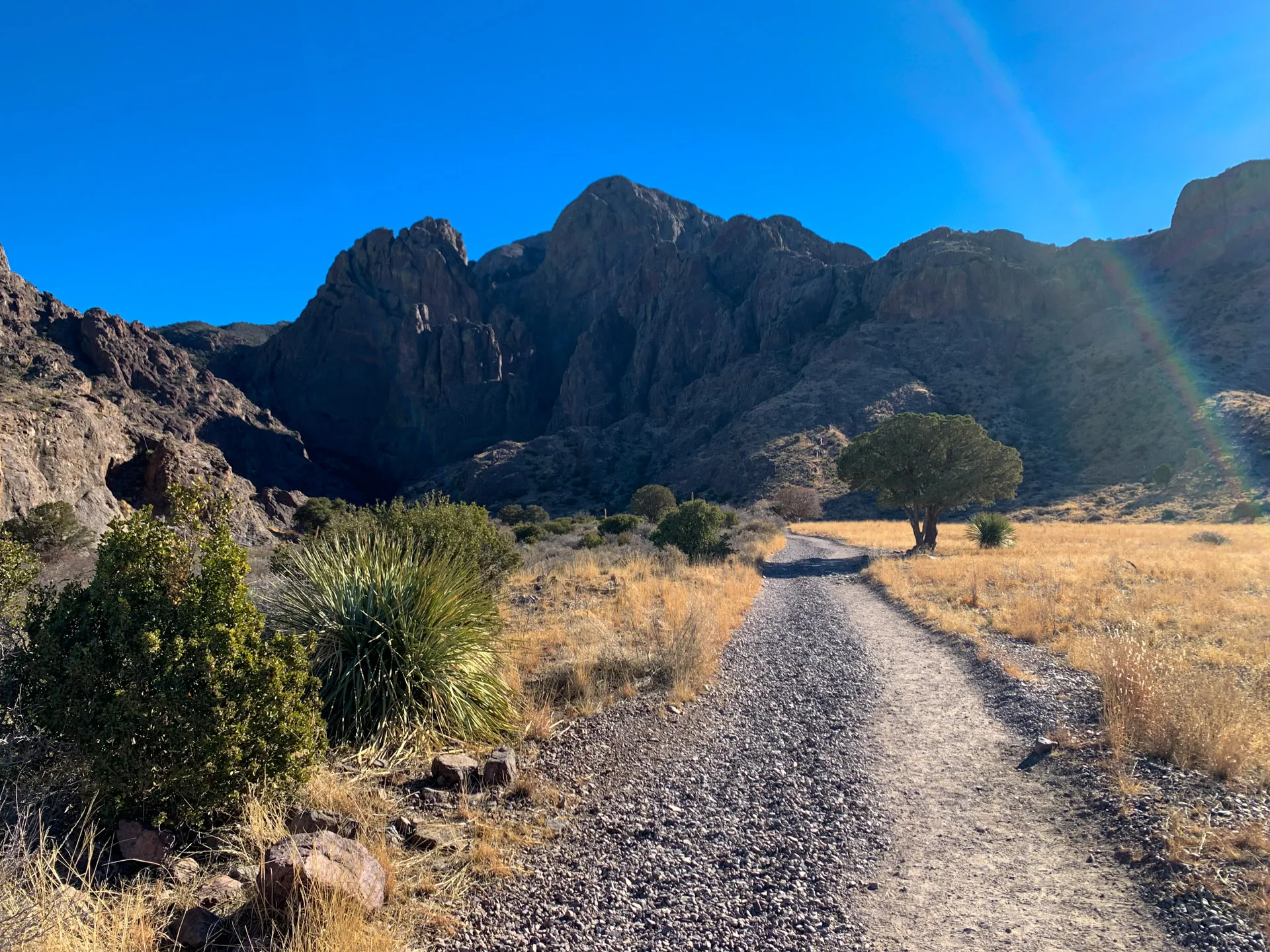 A rocky trail winds through the dry, grassy expanse of Dripping Springs, leading to towering, rugged mountains beneath a clear blue sky. The path is lined with scattered bushes and a lone tree, while sunlight casts a bright lens flare on the right side of the image.