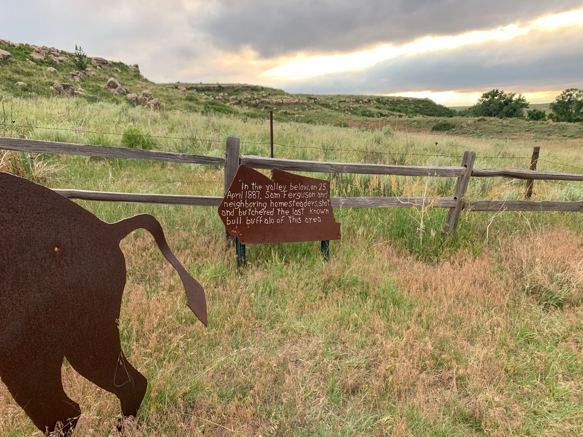 A grassy field with a fence and a brown sign describing the killing of the last bull buffalo in the area in 1887. A metal buffalo figure stands nearby. Cloudy sky and rocky hills are visible in the background.