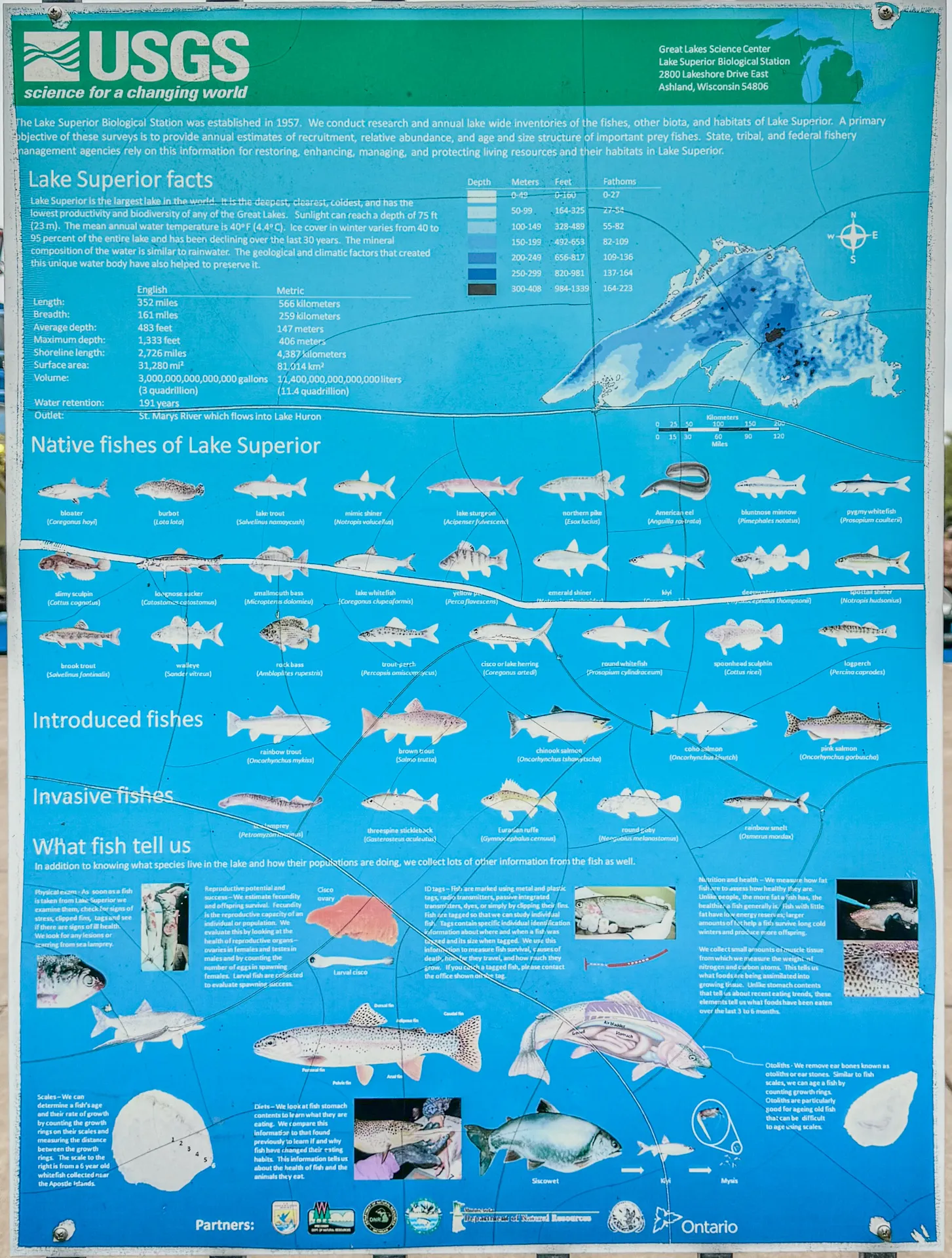 USGS poster displaying Lake Superior facts, including native, introduced, and invasive fish species, with illustrations and descriptions. Additional data on fish and lake ecology, focusing on areas near Ashland and Kreher RV Park in Wisconsin, are also included.