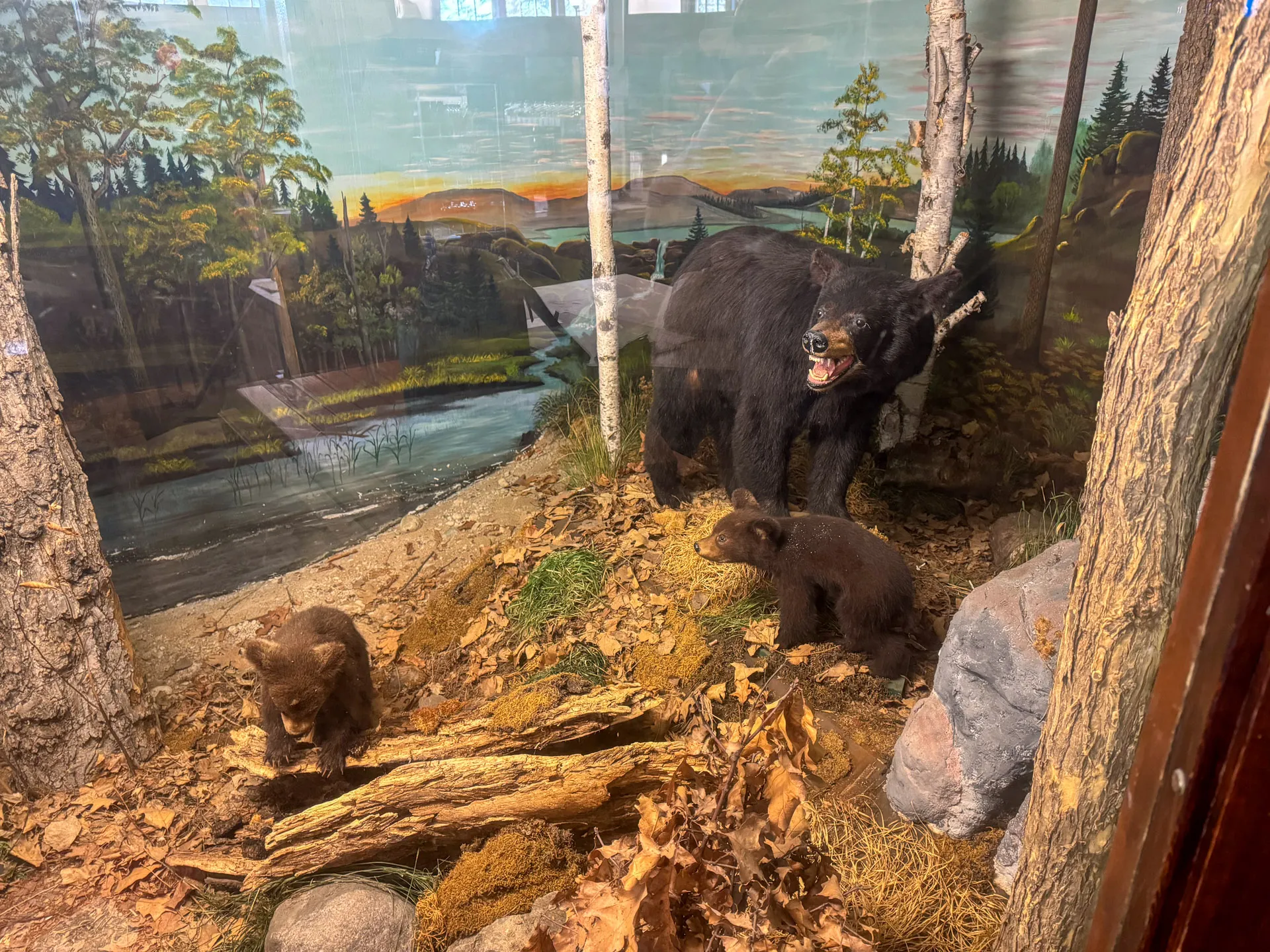 A diorama in Walker Bay Spirits depicts a mother black bear and her two cubs in a forest setting with trees, a stream, and a backdrop of a painted landscape.