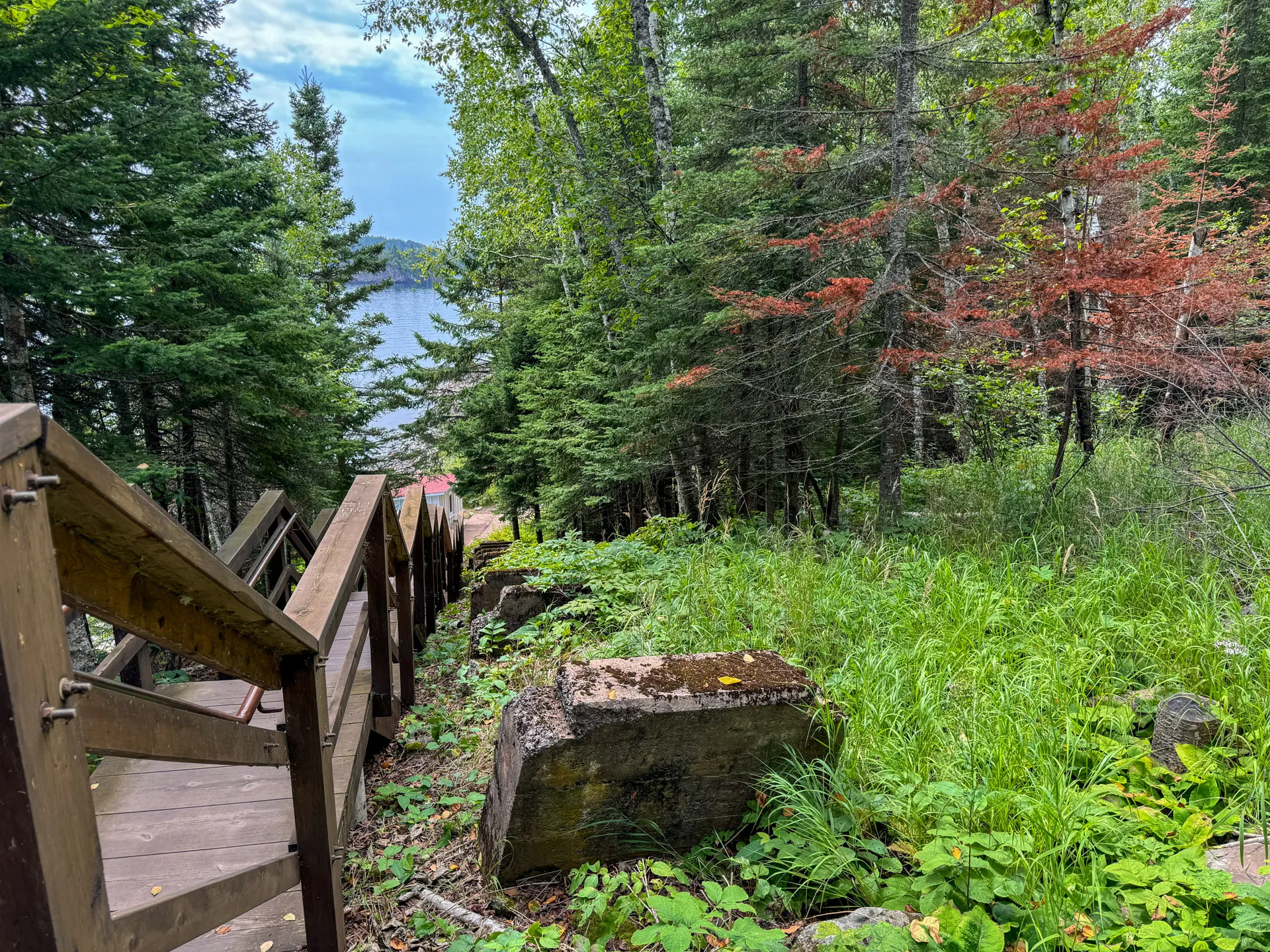 Wooden stairs descend through a lush forest with a mix of green and some red-tinted foliage, suggesting early autumn. Rocks and dense undergrowth line the path, leading to a distant view of a lake under a partly cloudy sky.