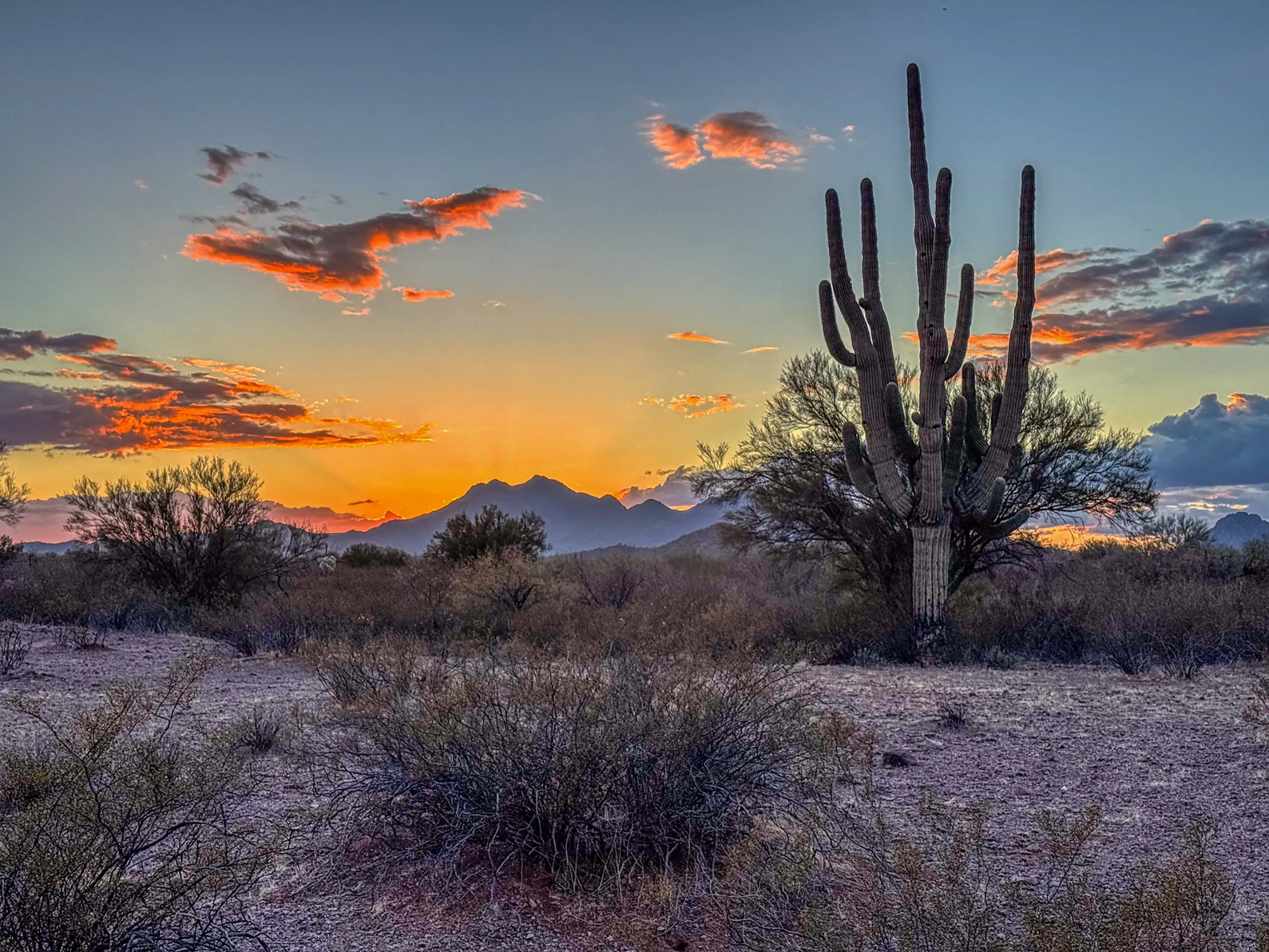 Sunset over a desert landscape featuring a tall saguaro cactus in the foreground. The sky is a mix of orange, pink, and blue hues with scattered clouds. Distant mountains are silhouetted against the vibrant sky, and the ground is covered in shrubs and sparse vegetation.