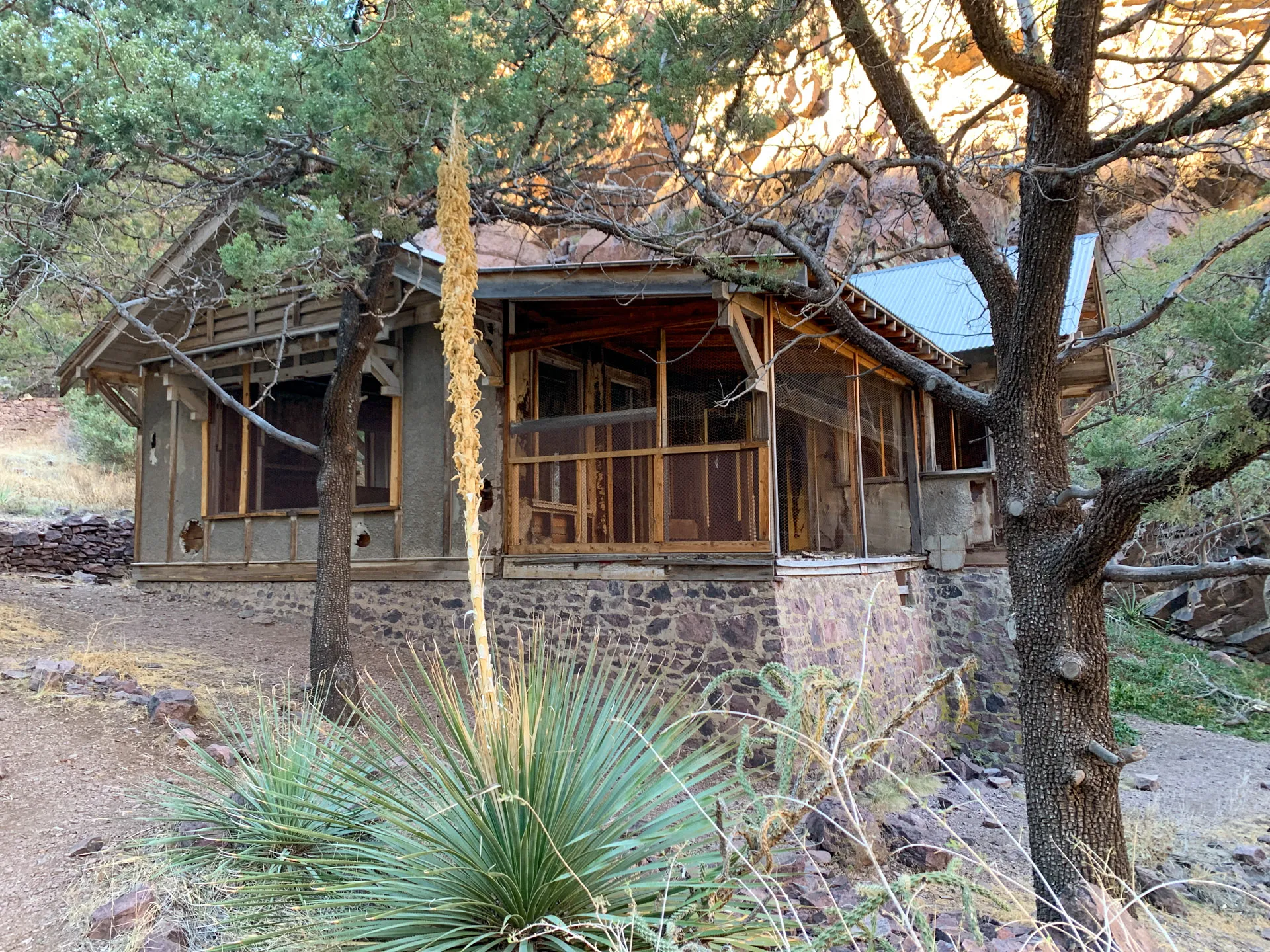 A rustic cabin with a stone foundation and wooden frame is nestled among tall trees. The structure features large screened windows and a tin roof. In the foreground, desert plants and grass are visible, with a rocky hillside in the background illuminated by sunlight.