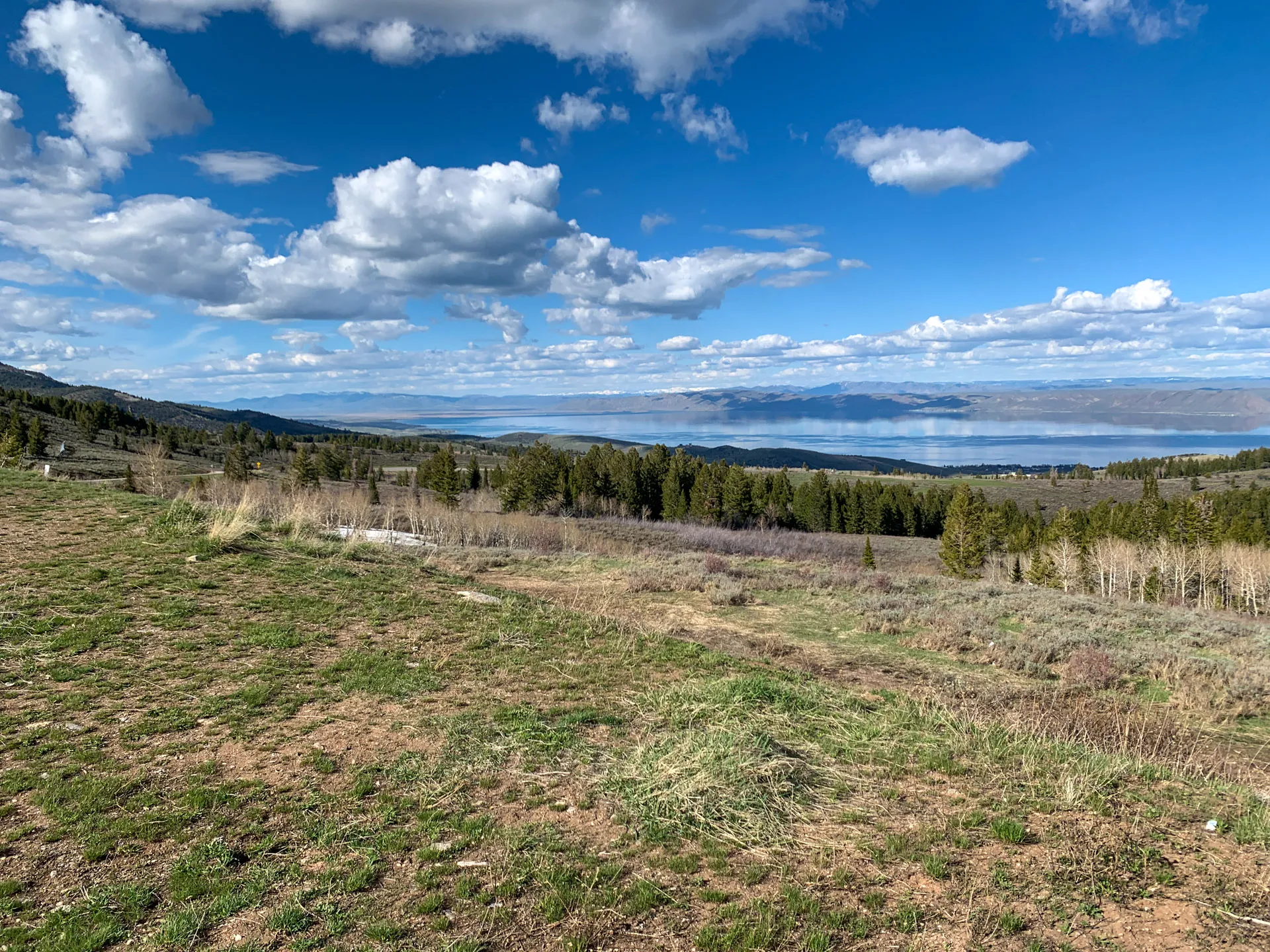 A scenic landscape with a grassy foreground leading to a panoramic view of a lake surrounded by rolling hills and dense green forests. The sky above is bright blue, scattered with fluffy white clouds, adding depth and contrast to the scene.