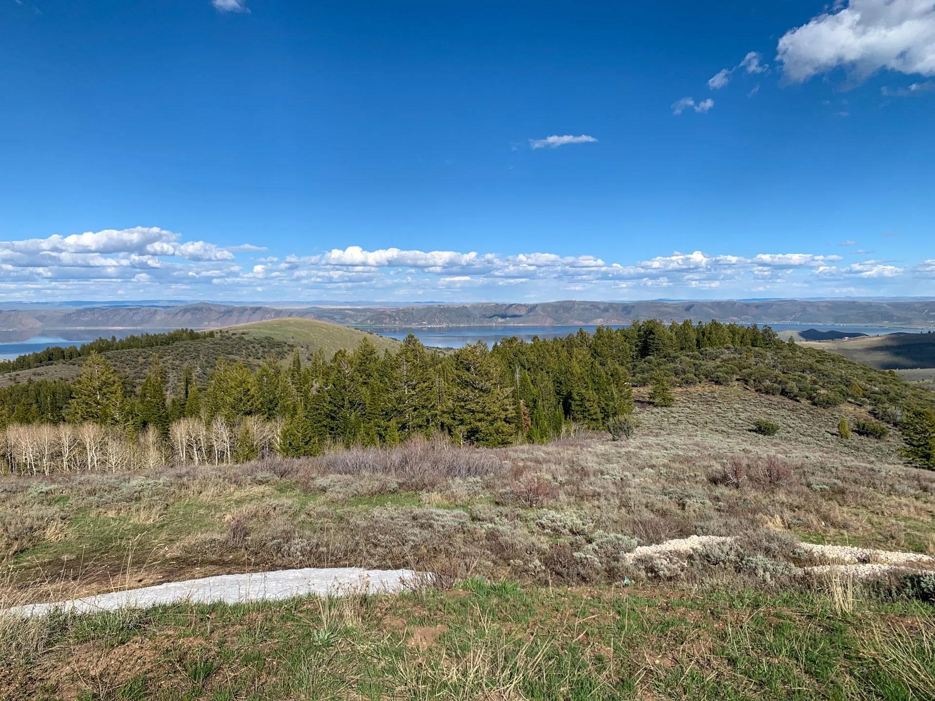 A scenic view of Bear Lake with clear blue skies and scattered clouds. The foreground features grassy and rocky terrain with patches of shrubs and sagebrush. A dense forest of green pine trees covers the rolling hills, which extend towards the expansive lake and distant mountains.