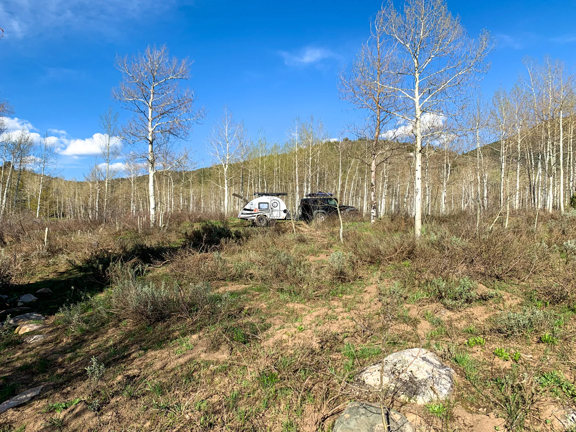 A small camper trailer and a car are parked in a clearing among leafless trees under a clear blue sky. The trees are sparse, and a low hill is visible in the background. The foreground has patches of grass and rocks, suggesting a late winter or early spring setting.