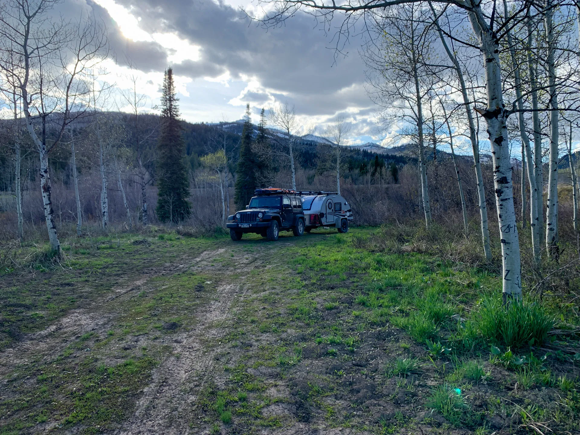 A rugged black off-road vehicle with a rooftop cargo rack is parked on a grassy trail, towing a small white teardrop camper. Surrounding the trail are tall, slender trees with sparse leaves, against a backdrop of mountains and a cloudy sky. The setting evokes a sense of adventure.
