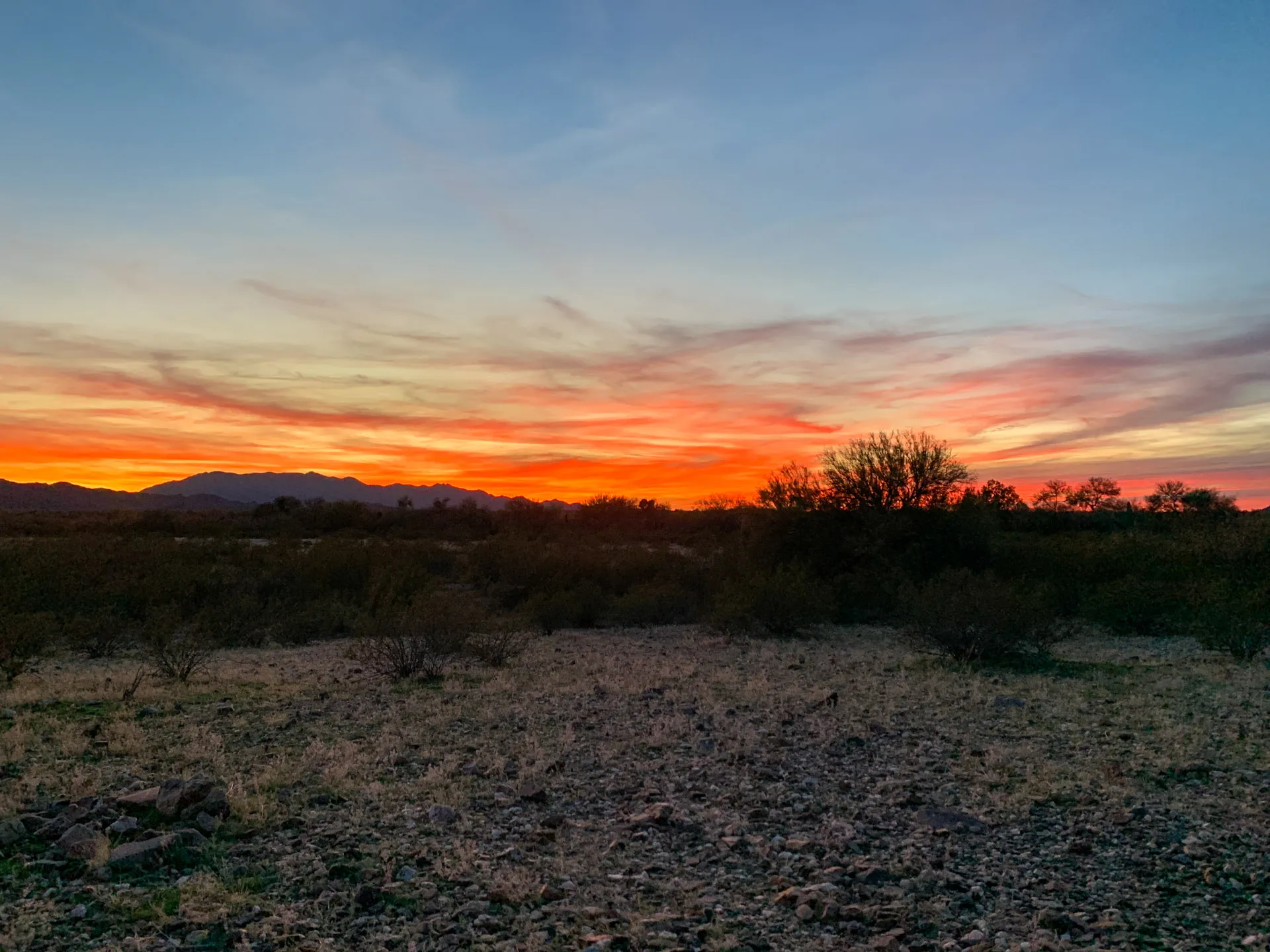 A vibrant sunset over a desert landscape. The sky features a gradient of blues, oranges, and reds. Silhouetted mountains and trees are visible in the distance, with sparse desert vegetation and rocky terrain in the foreground.