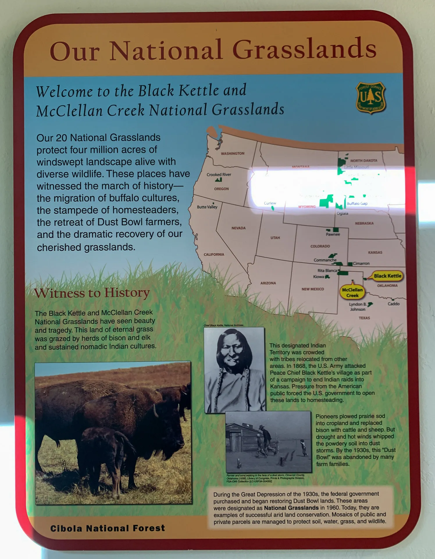 A sign titled "Our National Grasslands" with a map of locations, highlighting Black Kettle and McClellan Creek. Below, images of local wildlife, the Great Depression era, and a historical narrative about the Dust Bowl. Emblems include the U.S. Forest Service logo. Cibola National Forest noted.