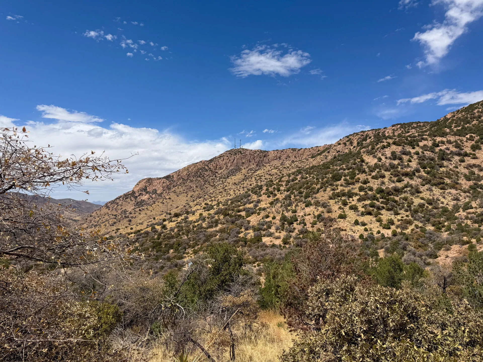 A rugged, arid mountain landscape under a bright blue sky with scattered clouds near Bisbee. Sparse bushes and dry vegetation dot the hills along North Juniper Flats Road, with leafless branches and shrubs in the foreground—perfect for camping enthusiasts.