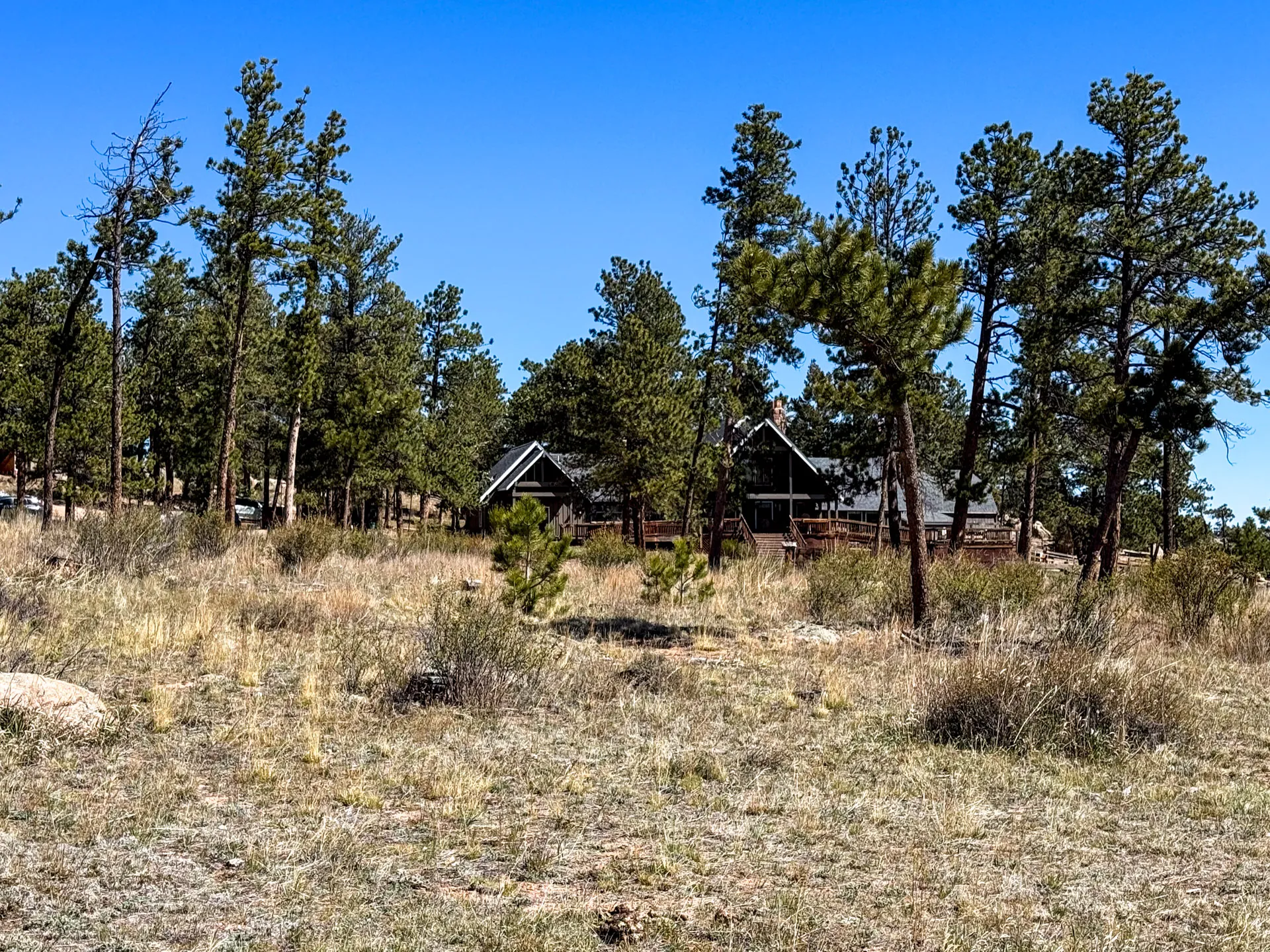 A rustic wooden cabin with a dark roof sits among tall pine trees on a dry, grassy landscape beneath a clear blue sky. Nestled near the Granite Ridge Trail in Roosevelt National Forest, the scene feels secluded and peaceful, perfect for hiking enthusiasts.