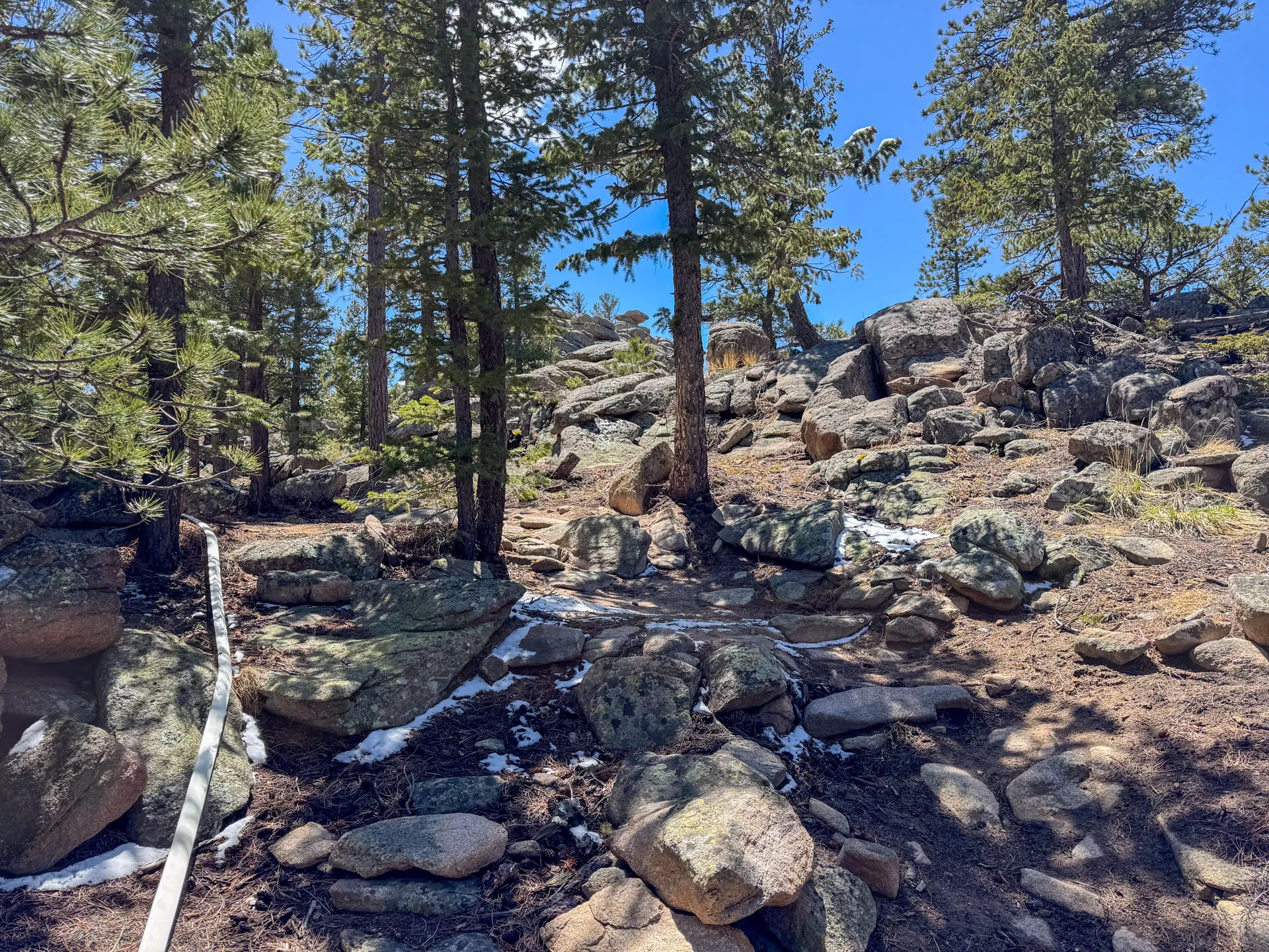 Rocky forested hillside with large boulders, scattered patches of melting snow, and tall pine trees under a clear blue sky. Along the Granite Ridge Trail in Roosevelt National Forest, a white pipe weaves between rocks and trees as sunlight filters through the branches.