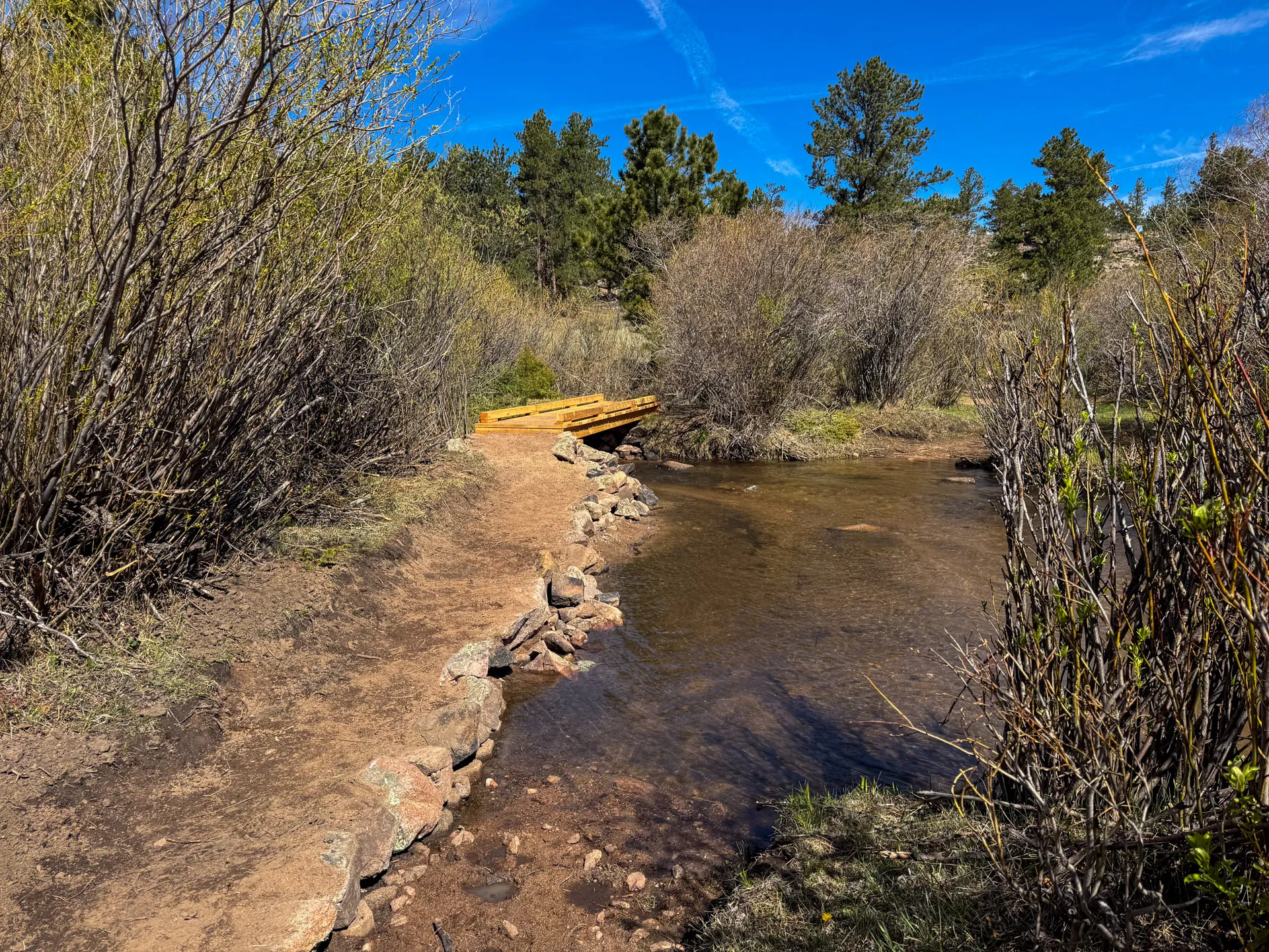 A dirt trail lined with rocks leads to a small wooden footbridge over a shallow, clear stream on the Mount Margaret Trail. Bushes with early spring growth and tall pines surround the scene under a bright blue sky with wispy clouds.