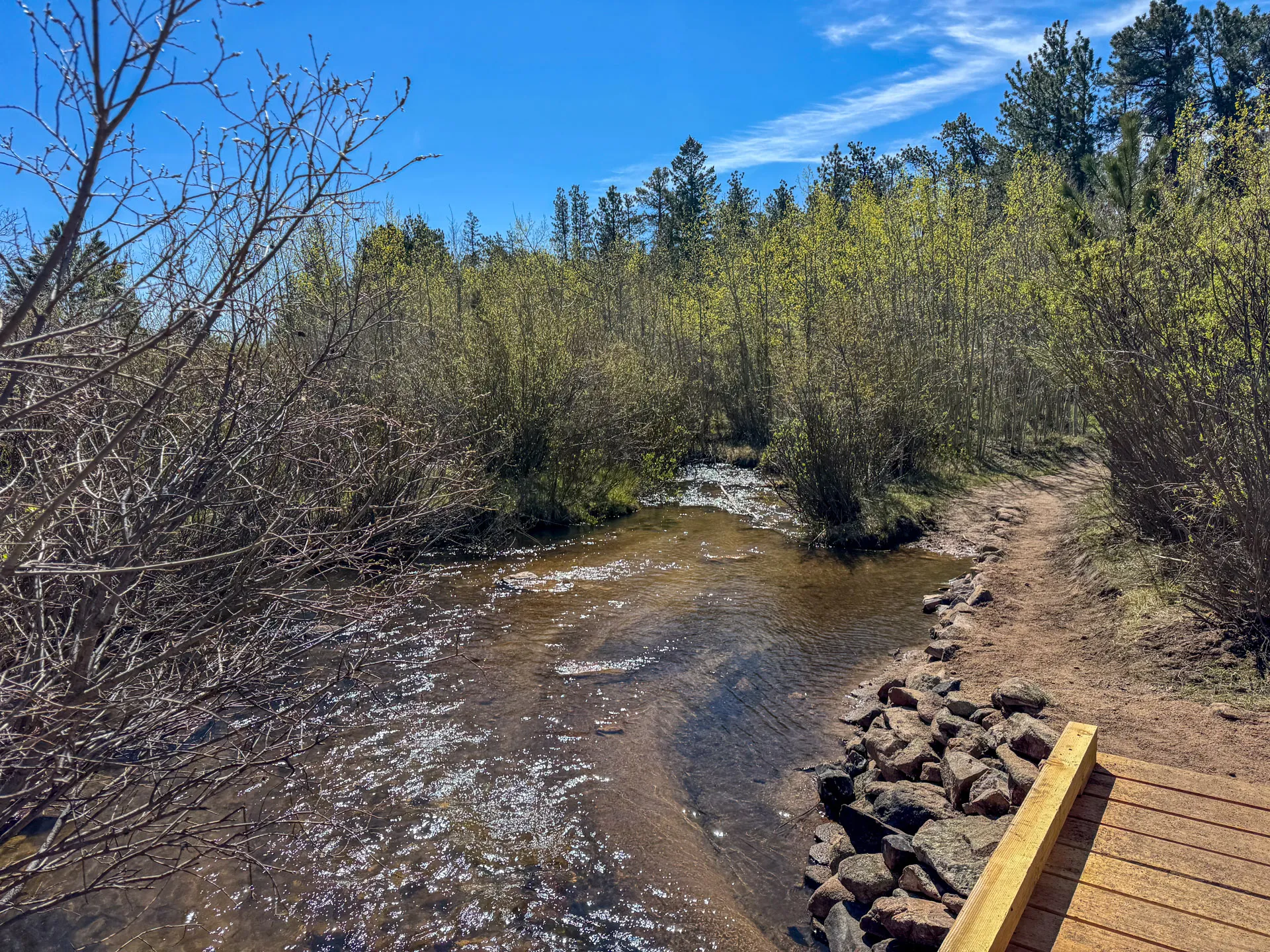 A shallow creek flows past a dirt path and a small wooden bridge near Trail’s End, surrounded by dense green shrubs and trees under a clear blue sky. Rocks line the creek’s edge, with tall evergreens rising in the background.