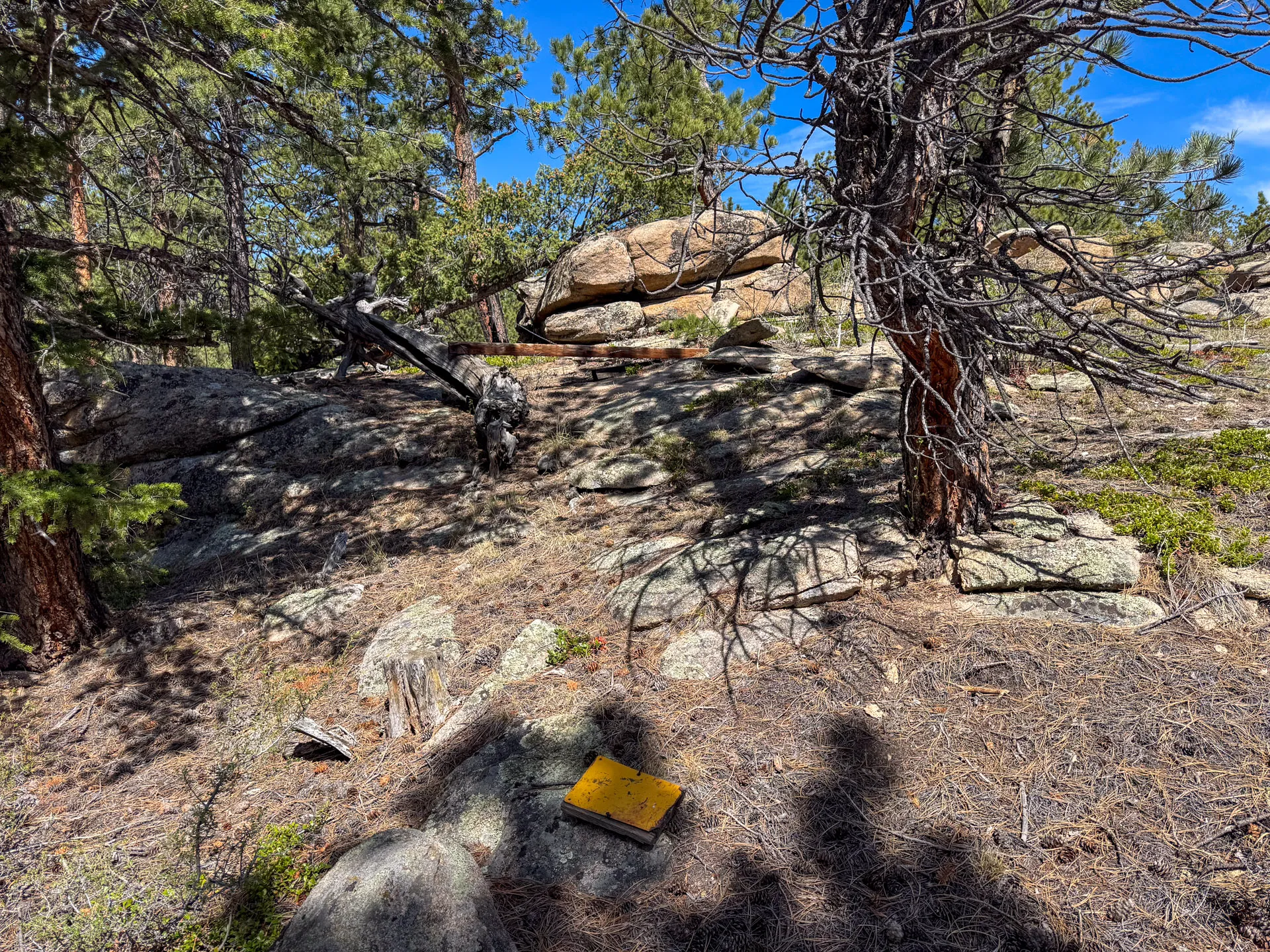 A rocky forest scene with scattered pine trees and sunlight filtering through. Large boulders are stacked in the background, and a yellow rectangular sign rests amid dry pine needles, branches, and rocks.