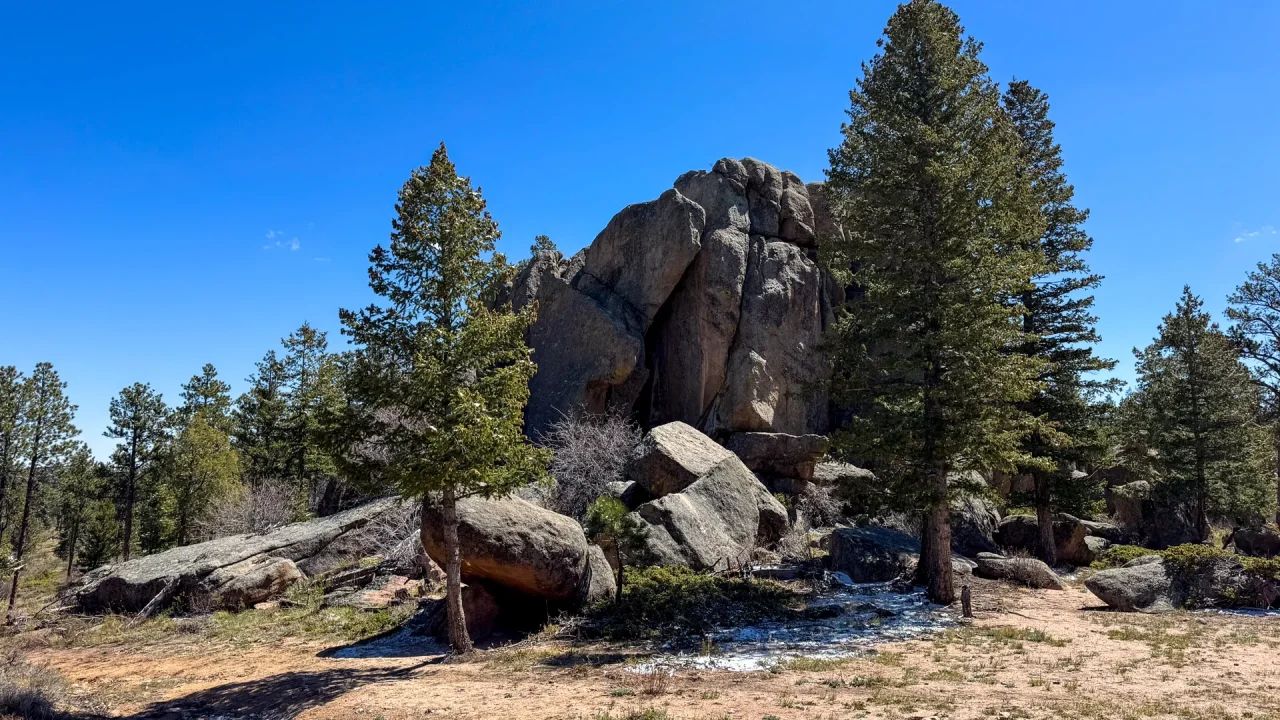 A rocky outcrop surrounded by tall pine trees under a clear blue sky along the Granite Ridge Trail. The ground is a mix of dirt, grass, and melting snow, with sunlight casting shadows that highlight the textured landscape perfect for hiking.