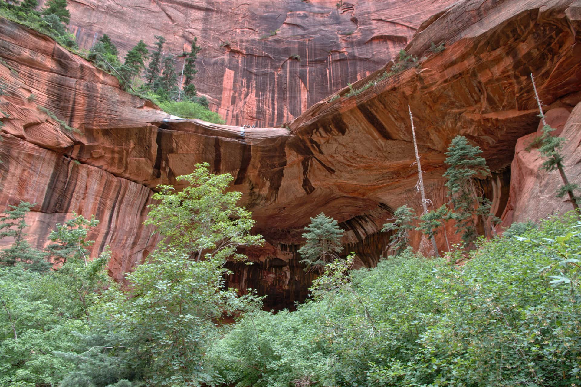 Hiking to The Double Arch Alcove in Zion National Park