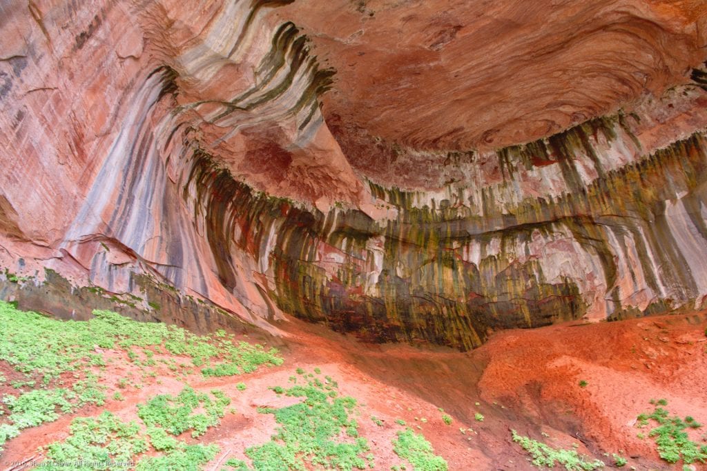 Zion National Park - Double Arch Alcove Lower Grotto