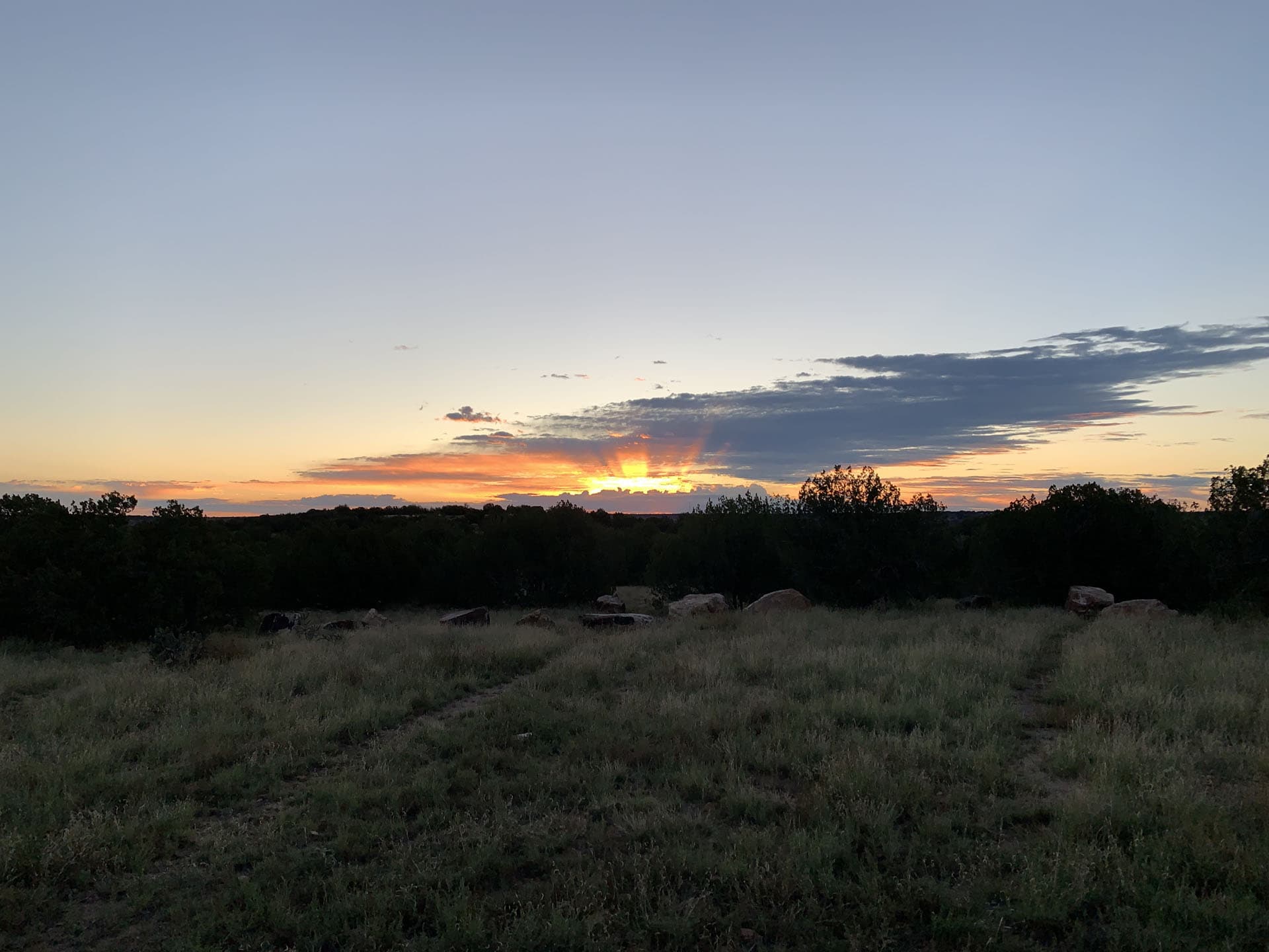 The sun is rising over the grassy field at Comanche National Grasslands.